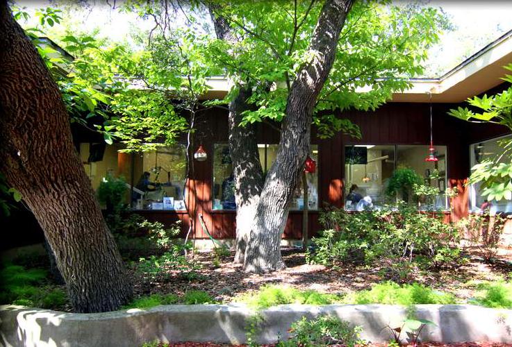 Lush courtyard with large tree, traditional architecture, and flowering plants surrounding seating area.
